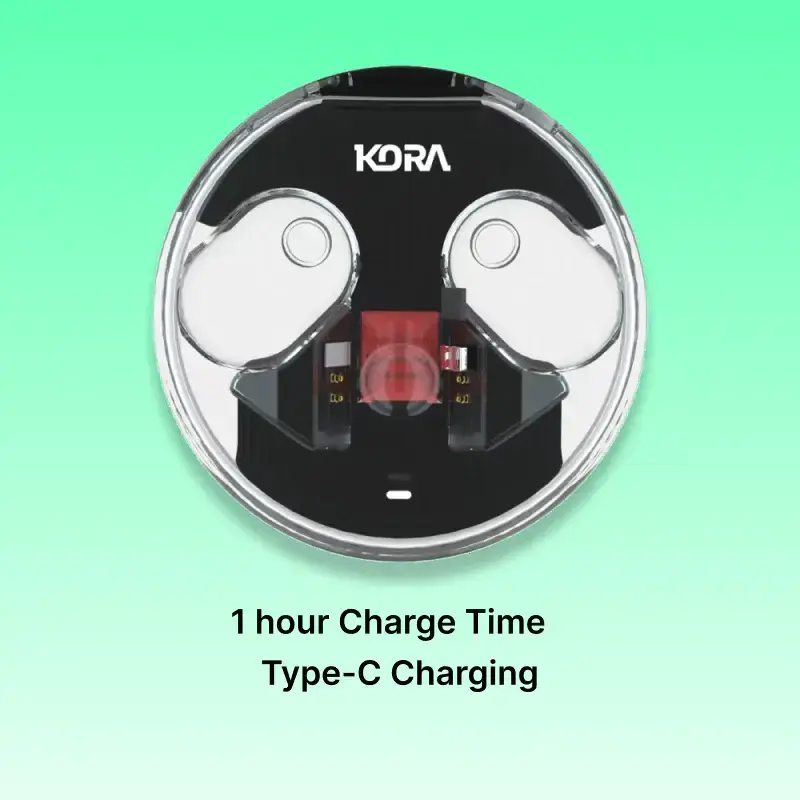 Kora Zenpods Pro Wireless Earbuds , ANC, Type C