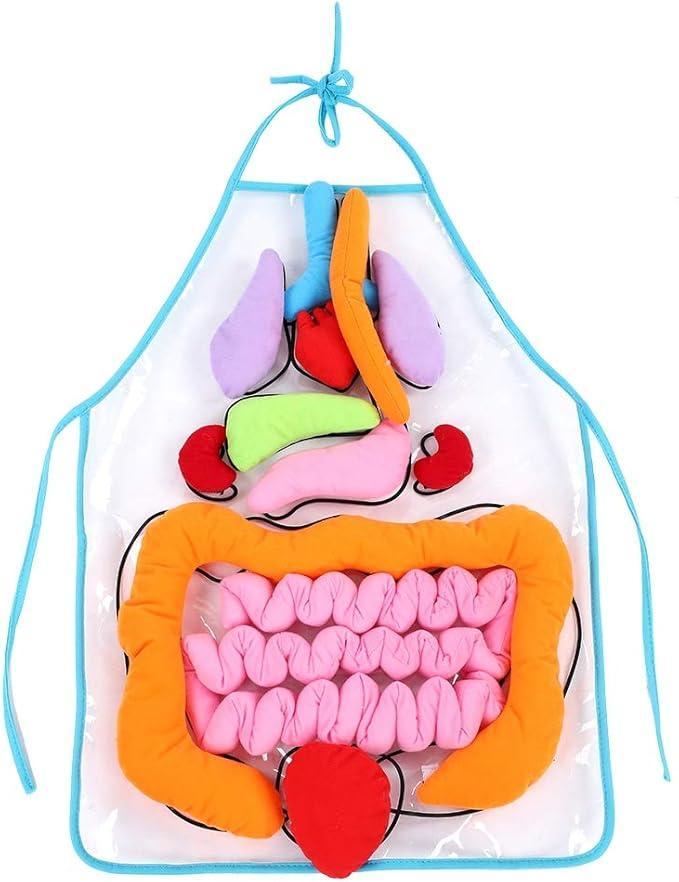 Human organ Cognition Educational 3d Apron
