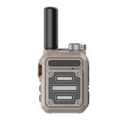 Walkie-talkie